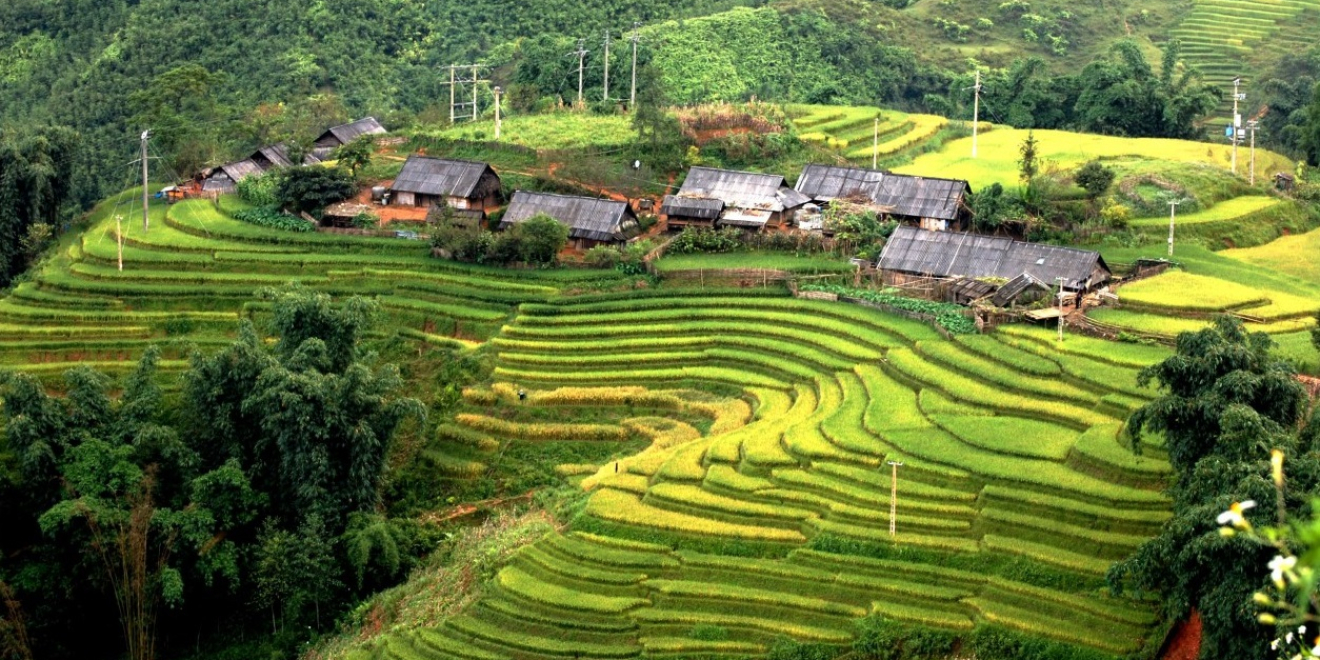 Sapa Trekking  3D4N-Lao cai - Sapa - Laochai - Tavan  (Muong Hoa Valley )  Sapa Trekking  3D4N-Lao cai - Sapa - Laochai - Tavan  (Muong Hoa Valley )