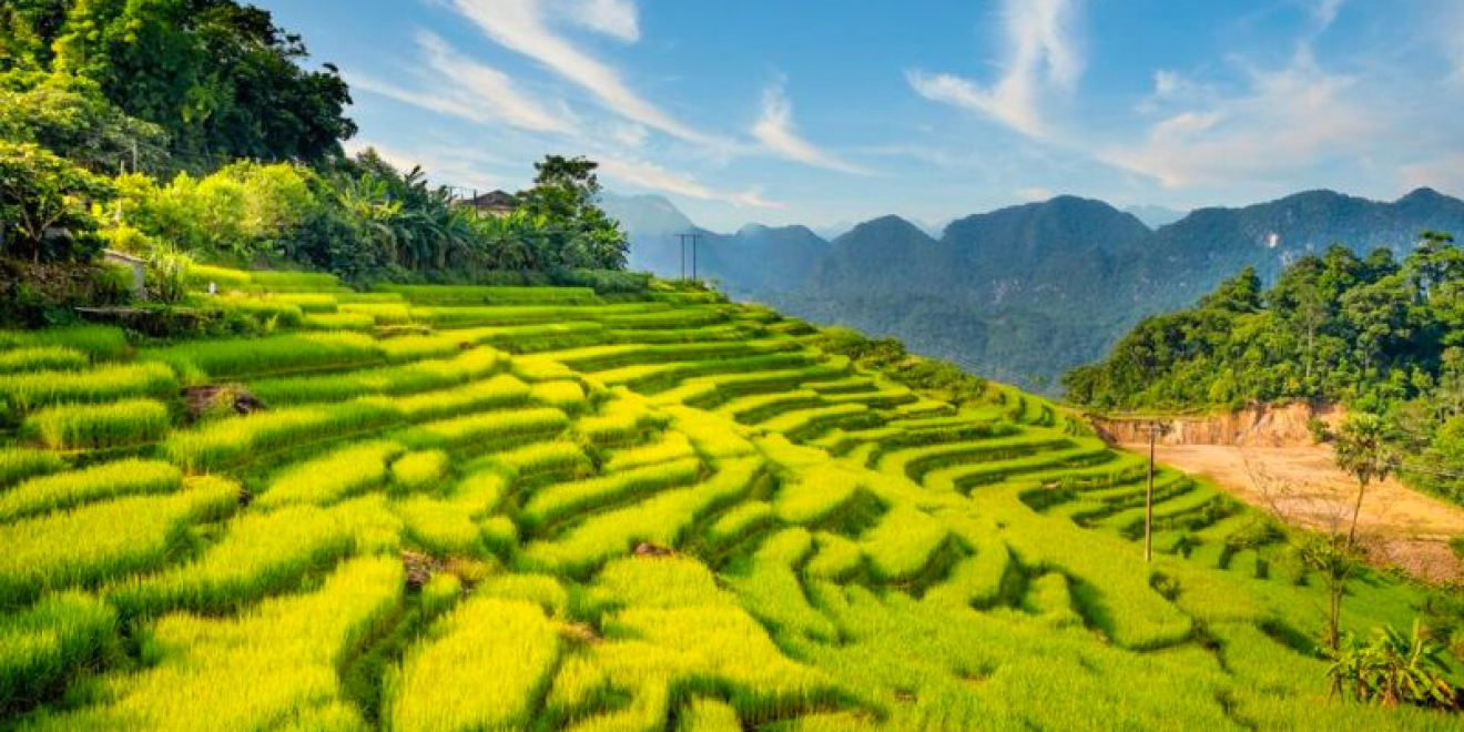 Mai Chau – Pu Luong – Ninh Binh 4D3N  Mai Chau – Pu Luong – Ninh Binh 4D3N