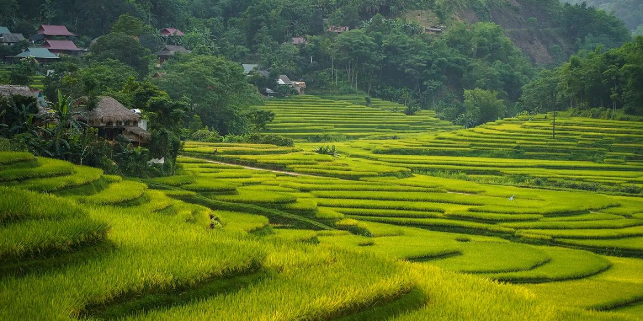 Mai Chau Classic Tour 2D1N Mai Chau Classic Tour 2D1N