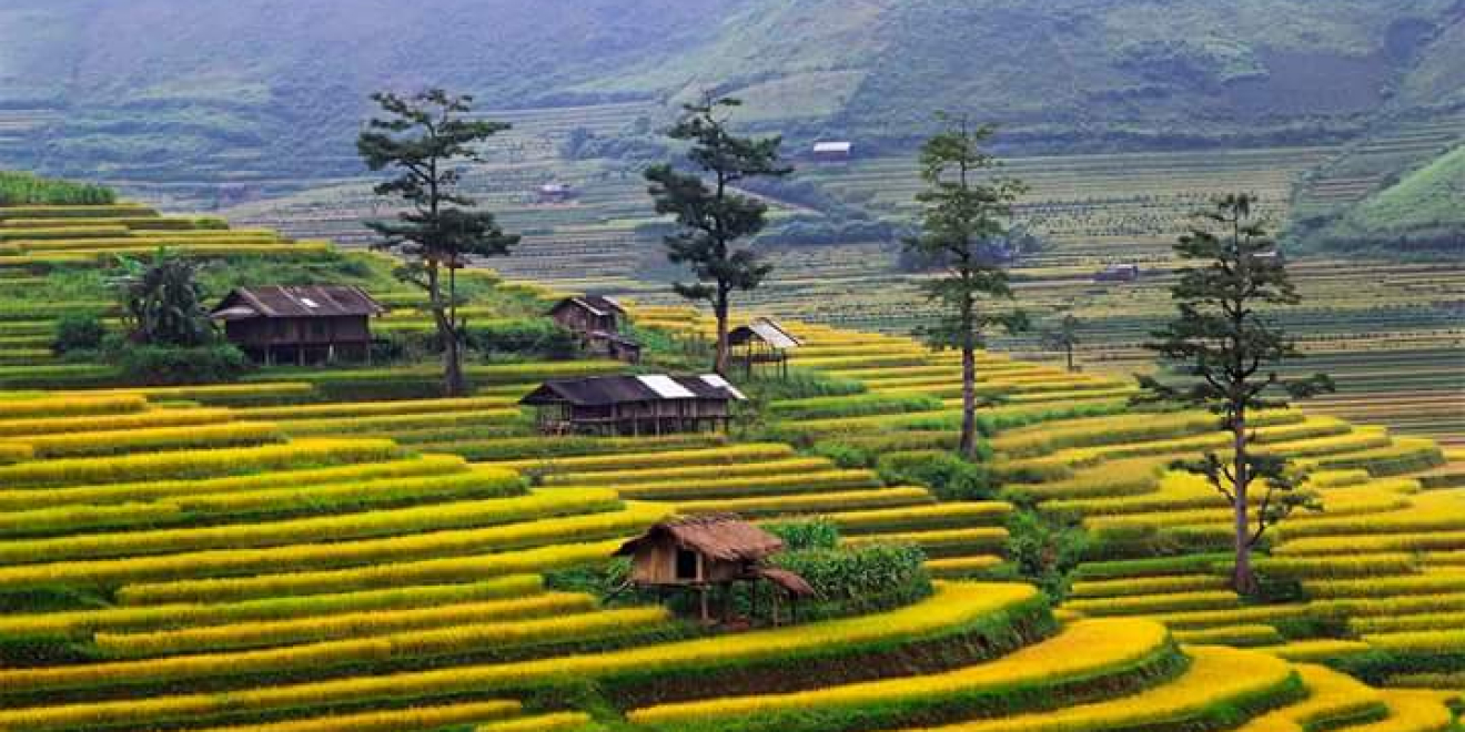 Mai Chau 2D1N Adventure Mai Chau 2D1N Adventure