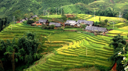 Sapa Trekking  3D4N-Lao cai - Sapa - Laochai - Tavan  (Muong Hoa Valley ) 