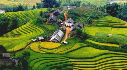 Sapa Trekking 2D3N Tour -Lao Cai - Sa Pa - Cat Cat – Sin Chai - Y Linh Ho - Lao Chai - Ta Van 