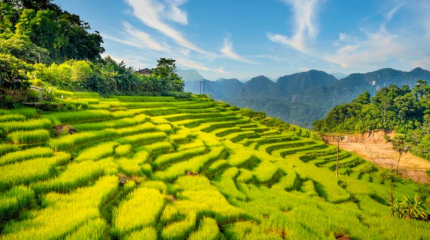 Mai Chau – Pu Luong – Ninh Binh 4D3N 