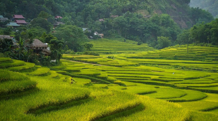 Mai Chau Classic Tour 2D1N