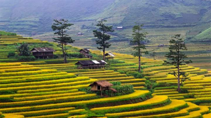 Mai Chau 2D1N Adventure