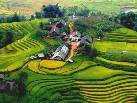 Sapa Trekking 2D3N Tour -Lao Cai - Sa Pa - Cat Cat – Sin Chai - Y Linh Ho - Lao Chai - Ta Van 