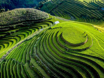 Mai Chau 1Day Tour (Daily Departure)