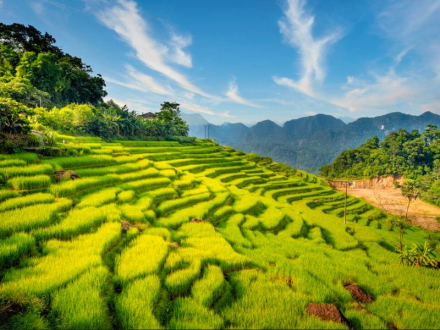 Mai Chau – Pu Luong – Ninh Binh 4D3N 