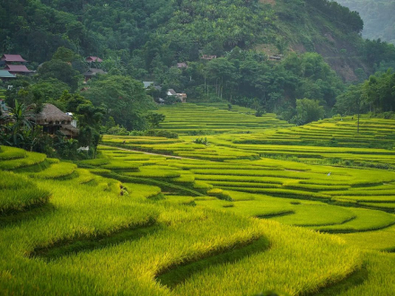 Mai Chau Classic Tour 2D1N