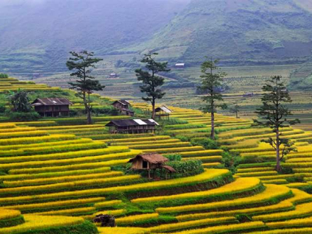 Mai Chau 2D1N Adventure