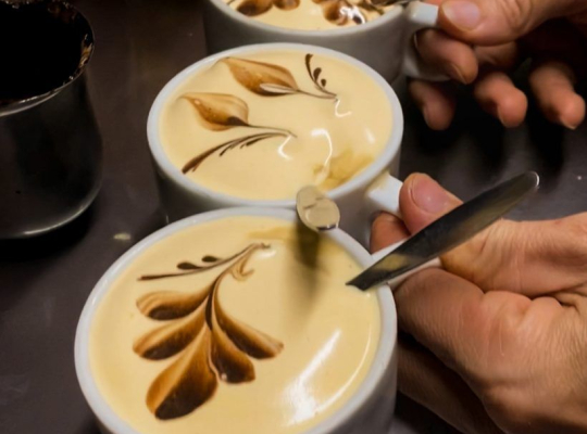 Street Food Tour in Ha Noi 