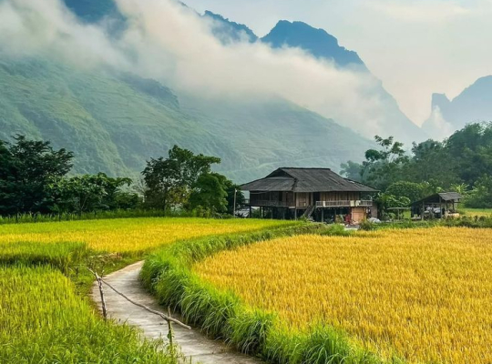Ha Giang 2D1N  Ha Giang 2D1N
