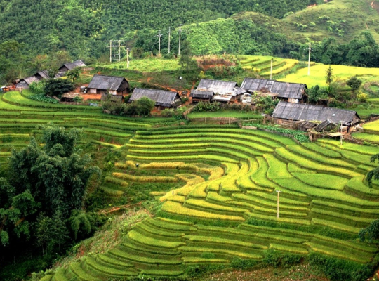 Sapa Trekking  3D4N-Lao cai - Sapa - Laochai - Tavan  (Muong Hoa Valley )  Sapa Trekking  3D4N-Lao cai - Sapa - Laochai - Tavan  (Muong Hoa Valley )