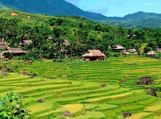 Pu Luong – Ninh Binh – Ha Long Bay 5D4N  Pu Luong – Ninh Binh – Ha Long Bay 5D4N