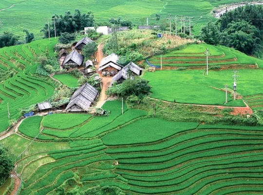 Sapa Trekking 2D3N Tour -Lao Cai - Sa Pa - Cat Cat – Sin Chai - Y Linh Ho - Lao Chai - Ta Van 
