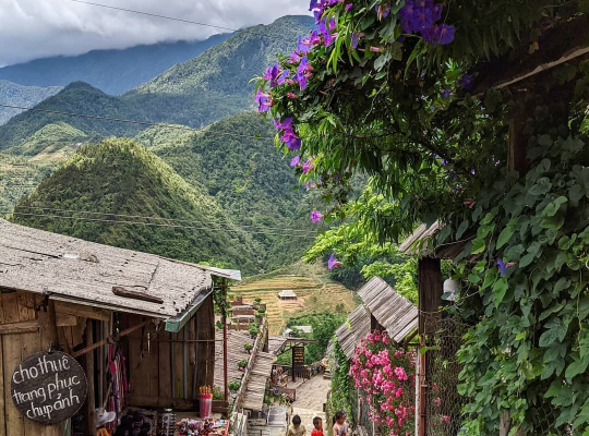 Sapa Trekking 2D3N Tour -Lao Cai - Sa Pa - Cat Cat – Sin Chai - Y Linh Ho - Lao Chai - Ta Van 