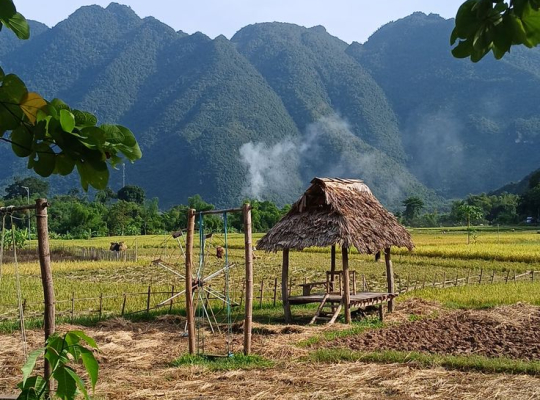 Mai Chau 1Day Tour (Daily Departure) Mai Chau 1Day Tour (Daily Departure)