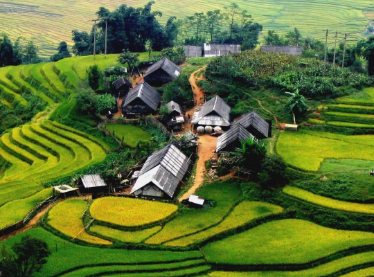Sapa Trekking 2D3N Tour -Lao Cai - Sa Pa - Cat Cat – Sin Chai - Y Linh Ho - Lao Chai - Ta Van 
