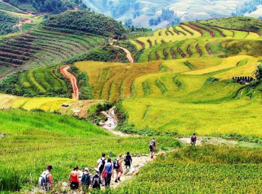 Sapa Topas Biking Package 2Days 1Nights Sapa Topas Biking Package 2Days 1Nights