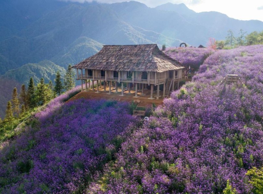 Sapa 2 Day Tour with Fansipan Moutian Sapa 2 Day Tour with Fansipan Moutian