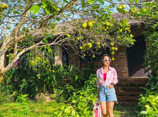 Hue City Tour only 1DAY-Cycling, tombs, local village, boat tour to Thien Mu pagoda Hue City Tour only 1DAY-Cycling, tombs, local village, boat tour to Thien Mu pagoda