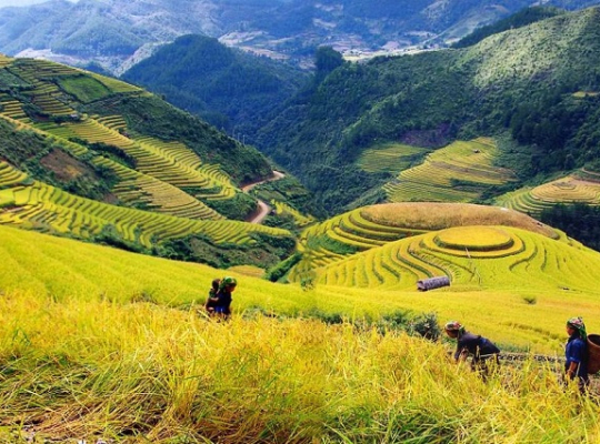 Sapa 3 Days Tour - Y Ling Ho - Lao Chai - Ta Van - Ban Ho - SuPan Villages Sapa 3 Days Tour - Y Ling Ho - Lao Chai - Ta Van - Ban Ho - SuPan Villages