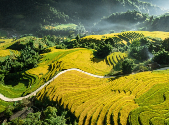 Sapa Trekking 2D3N Tour -Lao Cai - Sa Pa - Cat Cat – Sin Chai - Y Linh Ho - Lao Chai - Ta Van 