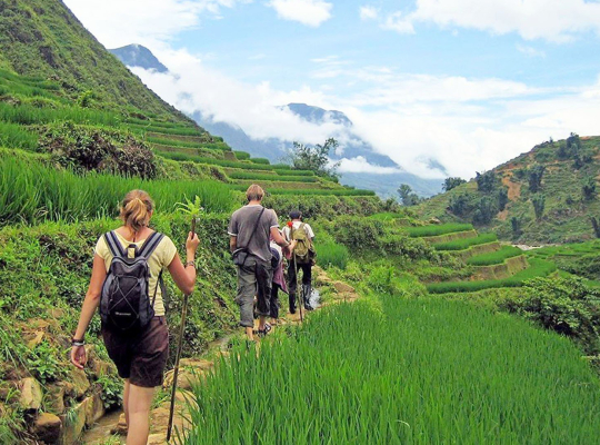 Sapa Trekking 2D3N Tour -Lao Cai - Sa Pa - Cat Cat – Sin Chai - Y Linh Ho - Lao Chai - Ta Van 