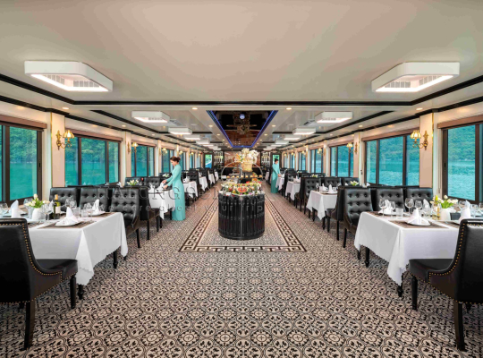 SONATA CRUISE SONATA CRUISE